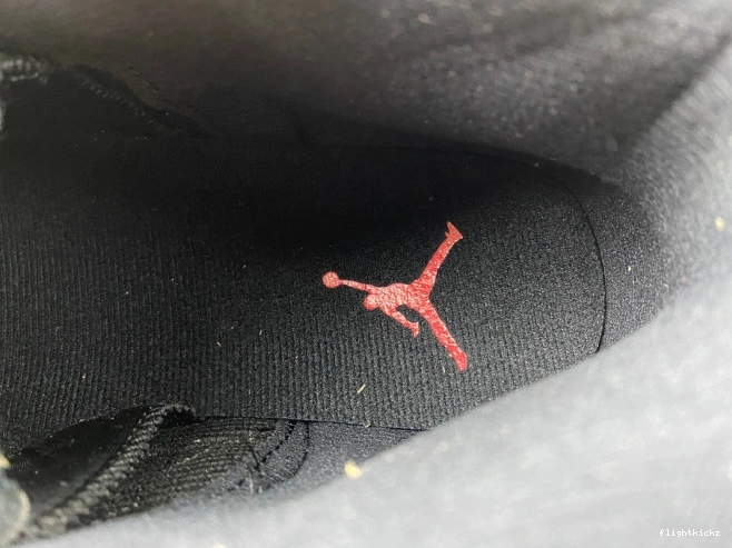 Flu 12 Jordan Retro 130690-002 Game (2016) 0727